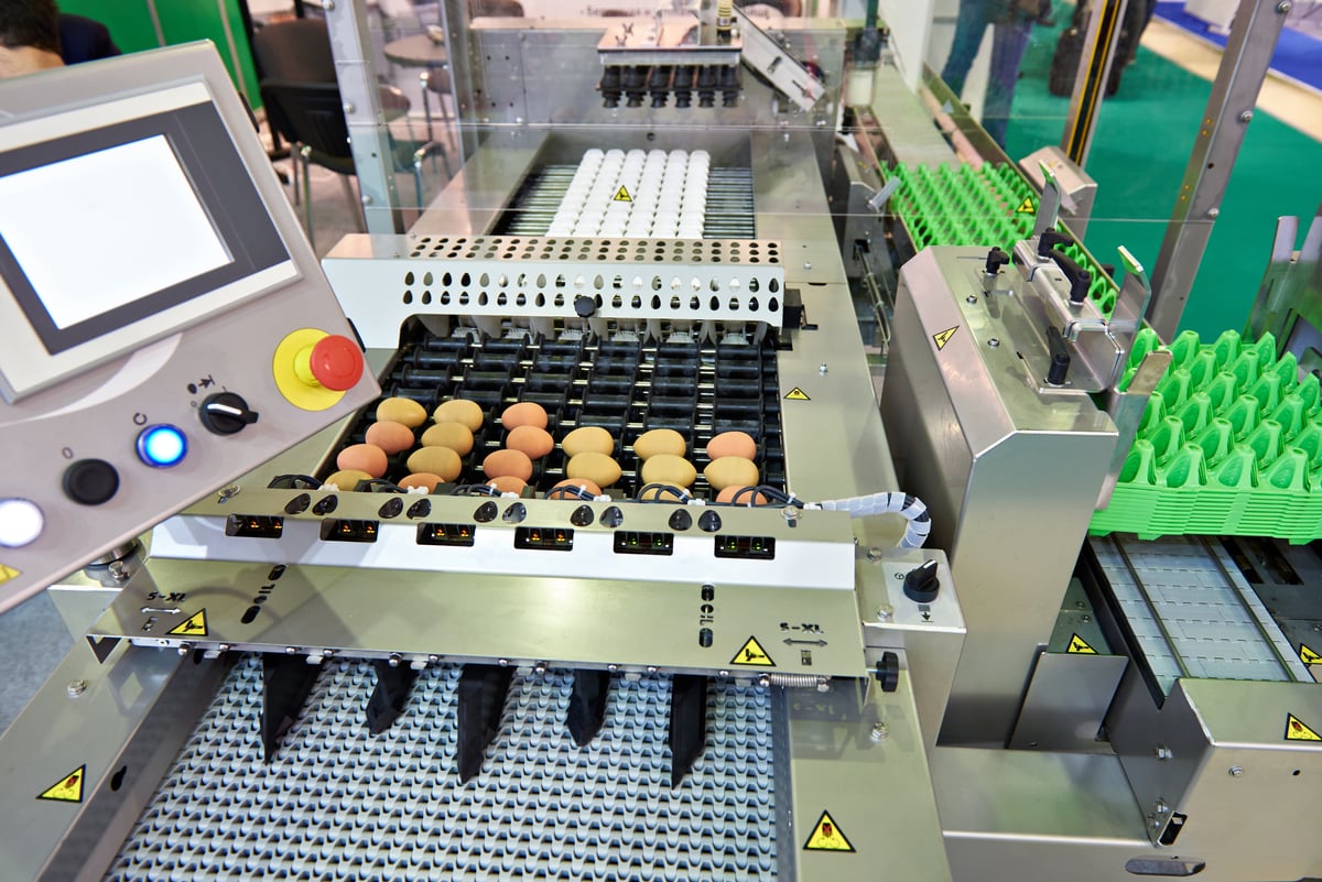 egg inspection and packaging